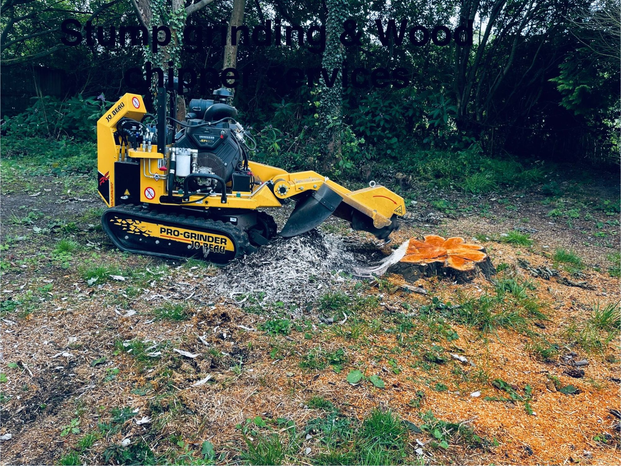 121e2801-edfc-4641-8260-da7aefe93877 Stump grinding and wood chipper services