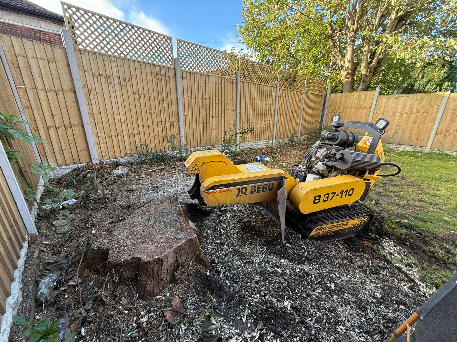 WhatsApp Image 2024-12-18 at 15.42.11 Stump grinding service