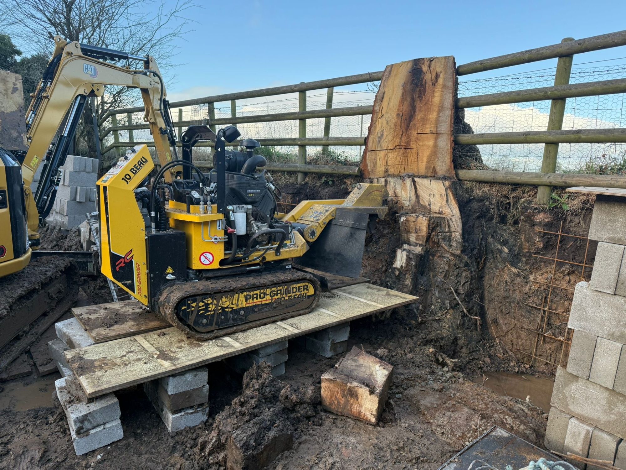 WhatsApp Image 2024-12-18 at 15.45.48 (1) Stump grinding service