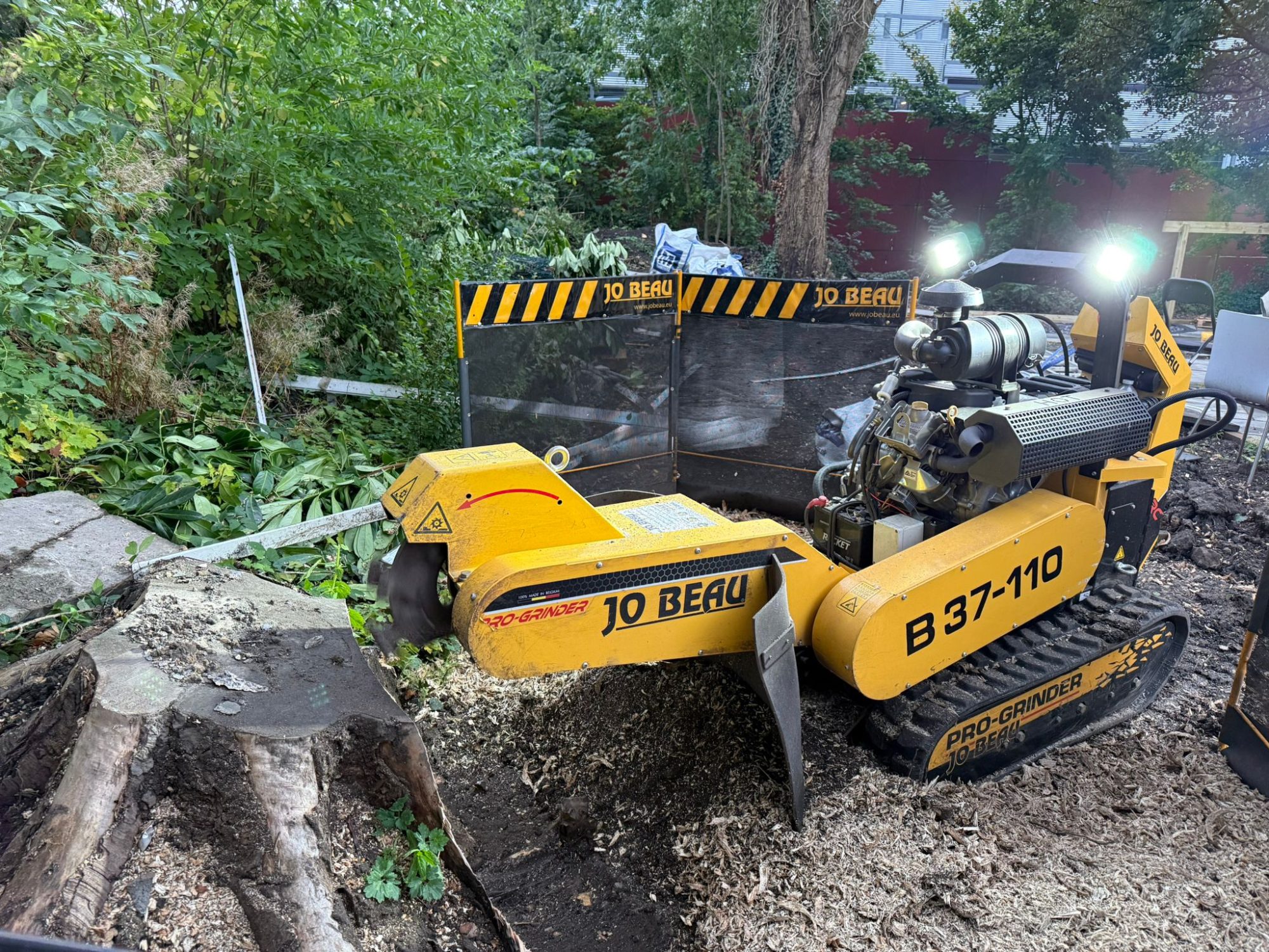 WhatsApp Image 2024-12-18 at 15.45.50 Stump grinding