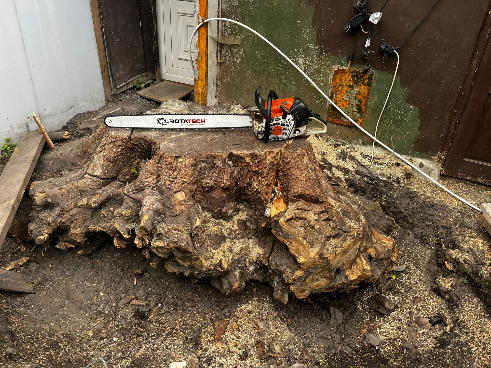 WhatsApp Image 2024-12-18 at 15.49.41 Stump grinding