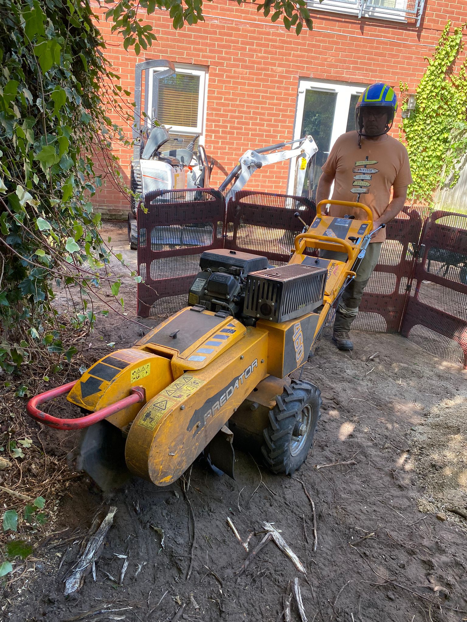 WhatsApp Image 2024-12-18 at 15.49.42 tump grinding services