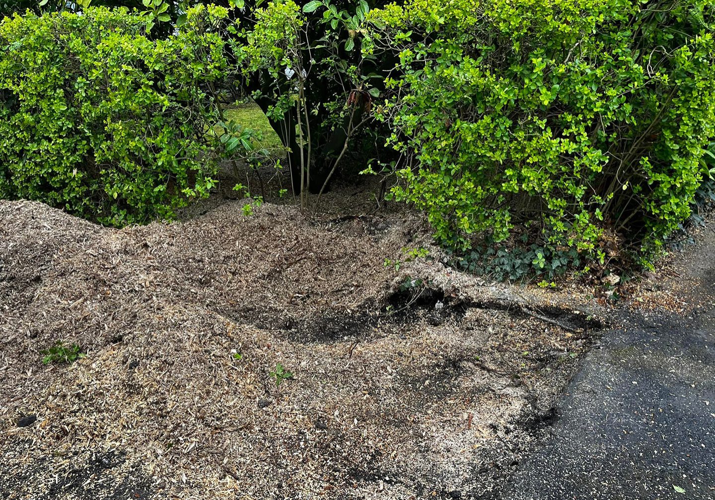 clearnace main Stump grinding and wood chipper services