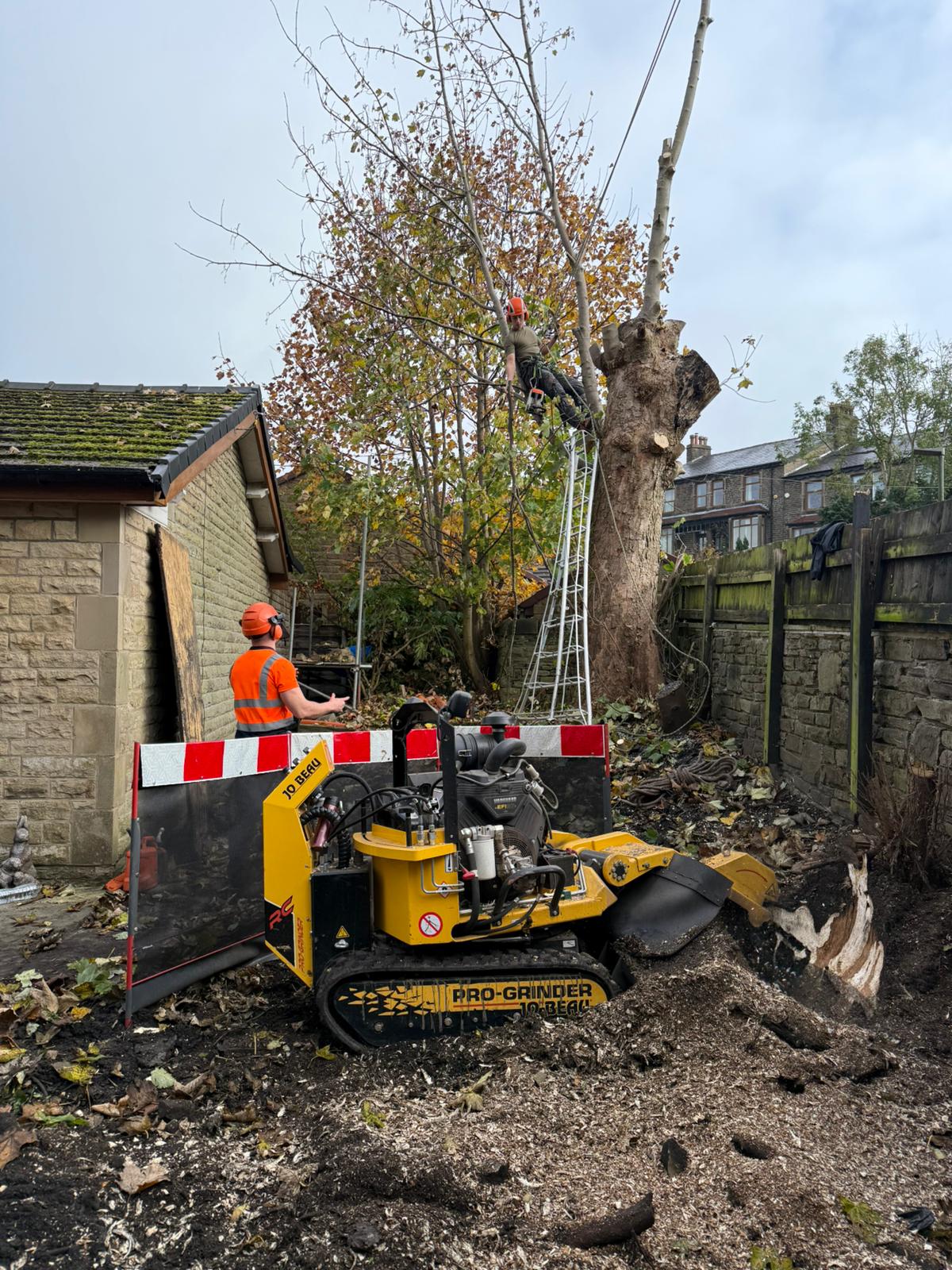 bcb13862-7168-4bc0-a054-d089d57e8153 Stump grinding and wood chipper services