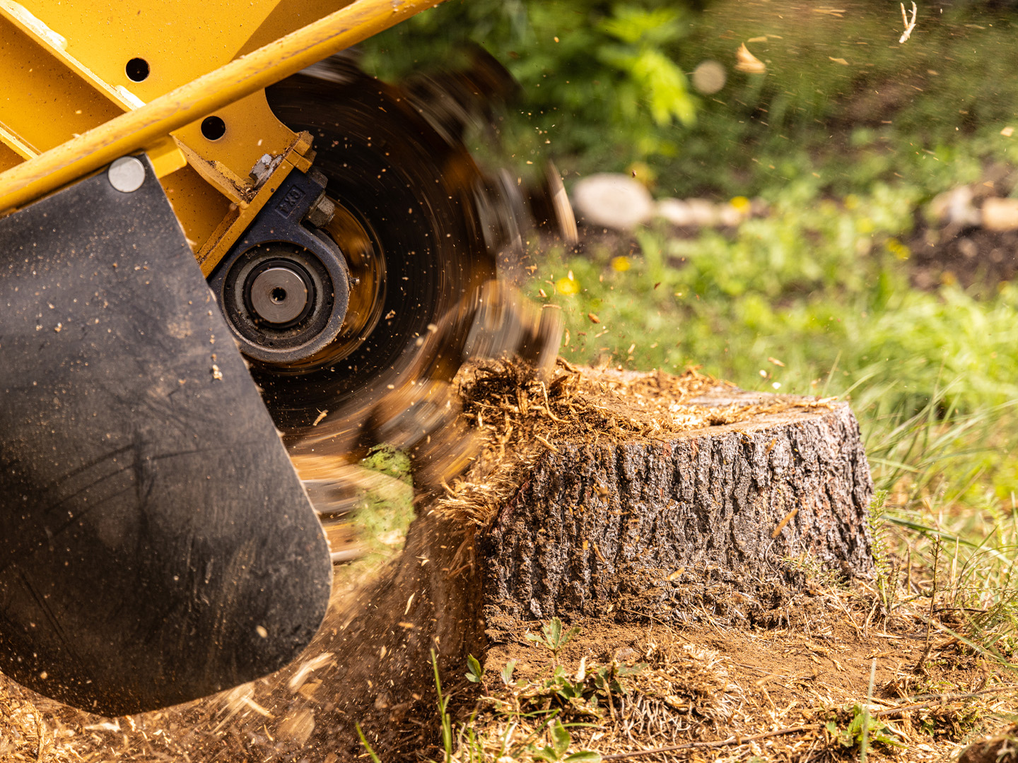Stump grinding